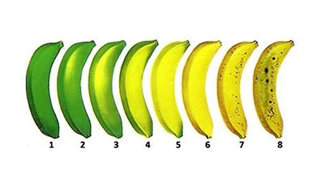 教你挑选最健康的香蕉--阿里百秀